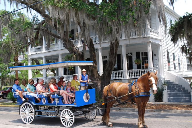 #1 Historical Horse Drawn Carriage Tour - Key highlights worth aiming for