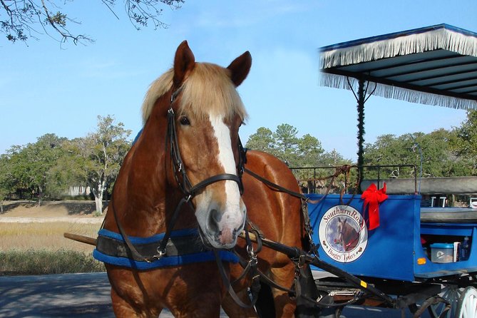 #1 Historical Horse Drawn Carriage Tour - How the guide connects colonial life to revolution, plantations, and war