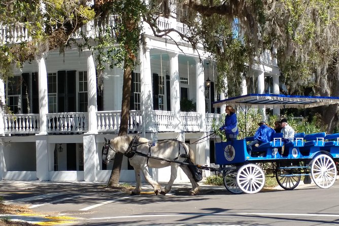 #1 Historical Horse Drawn Carriage Tour - Horses matter here: calm “gentle giants” and respectful care