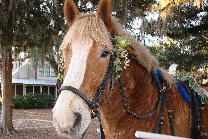 #1 Historical Horse Drawn Carriage Tour - Stop tied to Beaufort’s founding: church role and the graveyard scene