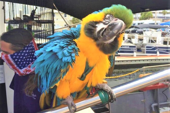 1-Hour Interactive Pirate Cruise (arrive 30 minutes early) - Key highlights worth knowing