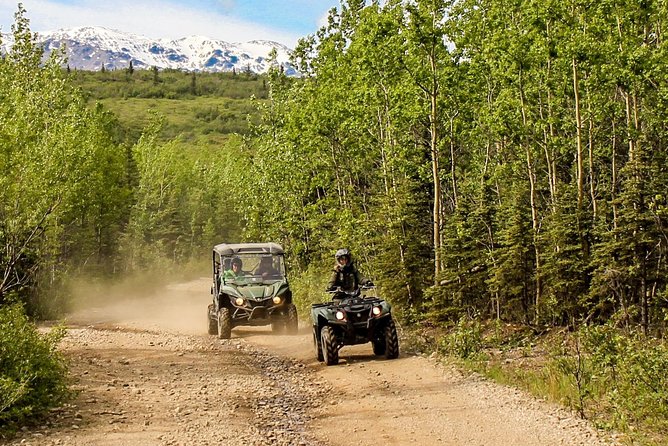2.5-Hour Denali Wilderness ATV Adventure Tour - Wildlife Chances: Moose Are Possible, So Plan for Watching