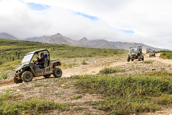 2.5-Hour Denali Wilderness ATV Adventure Tour - Pickup, Check-In, and Choosing Your ATV
