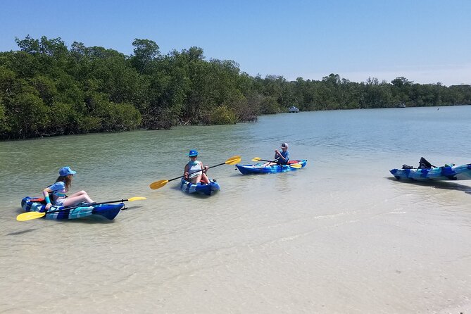 2.5-Hour Guided Group Kayak Tour on Big Hickory Pass - Price and Value: Why $55 Feels Fair Here