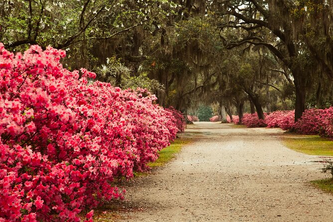 2-Hour Bonaventure Cemetery Walking Tour - Who Should Book This Tour, and Who Might Want More Time