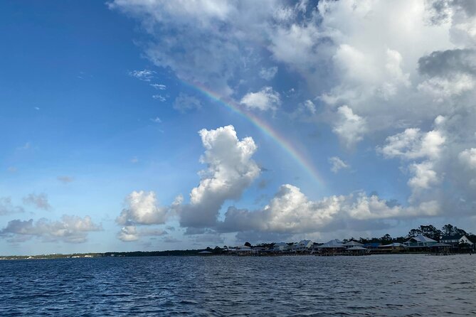 2-Hour Dolphin and Nature Eco Tour from Orange Beach - Orange Beach back-bays, not open water