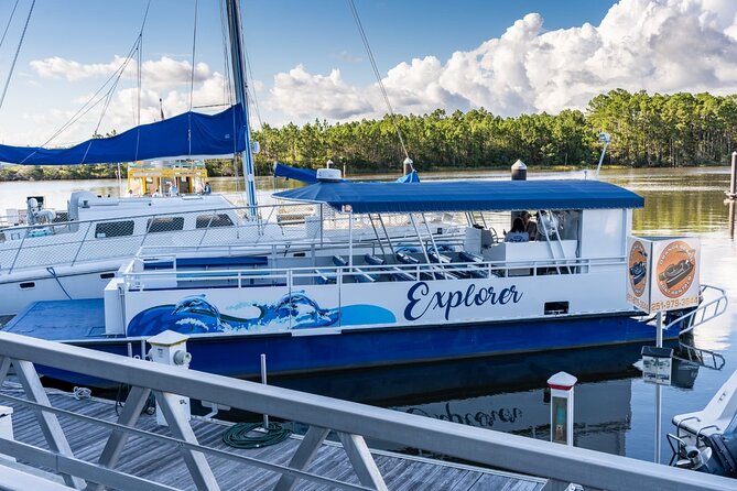 2-Hour Dolphin and Nature Eco Tour from Orange Beach - What you will see: dolphins, birds, and creek wildlife