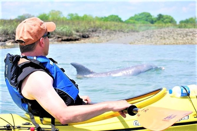 2-Hour Guided Kayak Eco Tour in Charleston - Key things that make this kayak eco tour work