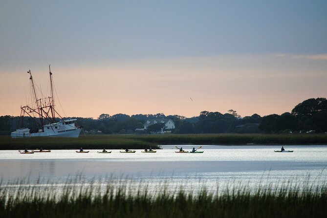 2-Hour Guided Kayak Eco Tour in Charleston - Your guide is doing more than pointing at birds