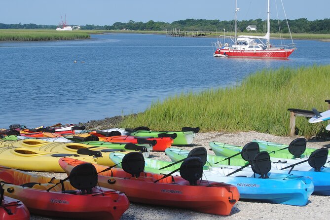 2-Hour Guided Kayak Eco Tour in Charleston - Wildlife spotting without the frantic scanning