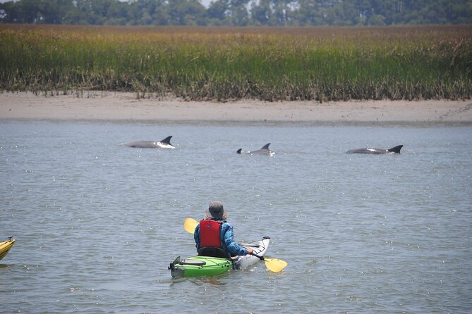 2-Hour Guided Kayak Eco Tour in Charleston - Equipment and comfort: you are not doing it all alone