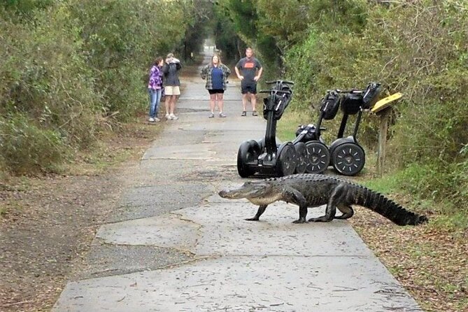 2-Hour Guided Segway Tour of Huntington Beach State Park in Myrtle Beach - Route, Timing, and What 2 Hours Really Feels Like