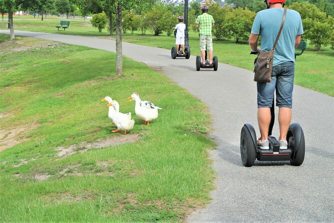 2-Hour Guided Segway Tour of Huntington Beach State Park in Myrtle Beach - Who This Tour Fits Best (And Who Might Skip)