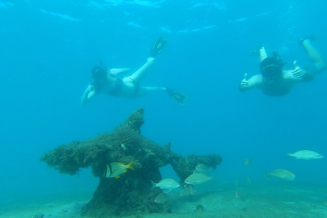 2 ½ - Hour Guided Snorkel Tour of Phil Foster park, Free Videos! - Phil Foster Park, Riviera Beach: where the snorkeling actually works