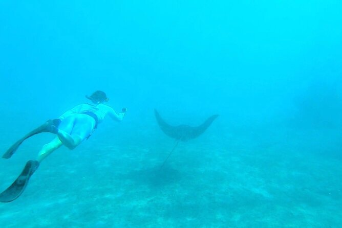 2 ½ - Hour Guided Snorkel Tour of Phil Foster park, Free Videos! - Equipment, sunscreen, snacks, and the small “extras” that add comfort
