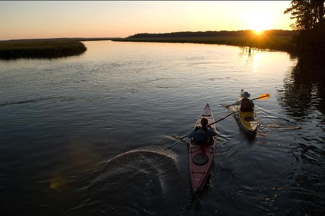 2-Hour Hilton Head Guided Kayak Nature Tour - Wildlife time: birds, dolphins, and other Lowcountry surprises