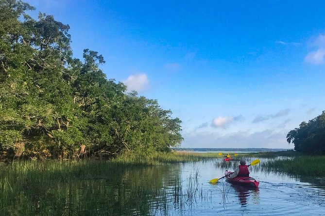 2-Hour Hilton Head Guided Kayak Nature Tour - Price and value: is $47 worth it?