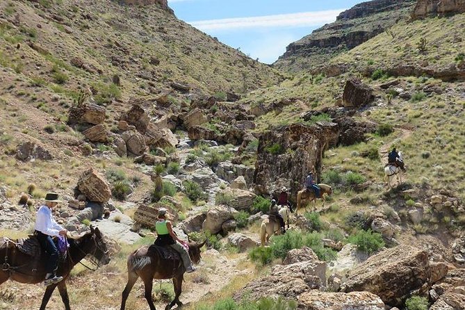 2-Hour Horseback Riding through Red Rock Canyon - Why Red Rock Canyon feels like a real break from the Strip