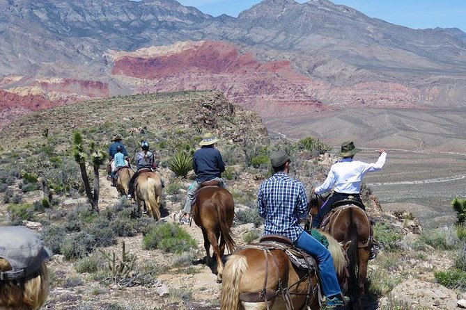 2-Hour Horseback Riding through Red Rock Canyon - Getting mounted: the beginner lesson and horse or mule matching