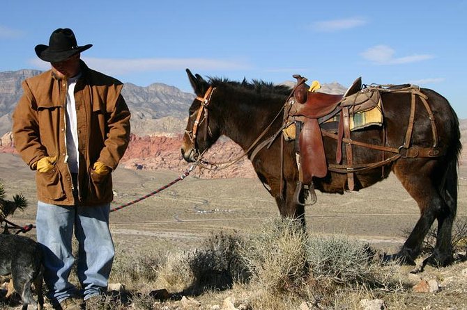 2-Hour Horseback Riding through Red Rock Canyon - Who should book this tour, and who should think twice