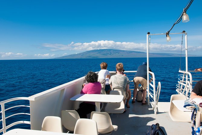 2-Hour Oahu Whale Watch from Ala Wai Harbor, Waikiki - What the crew looks for, and how to help your odds