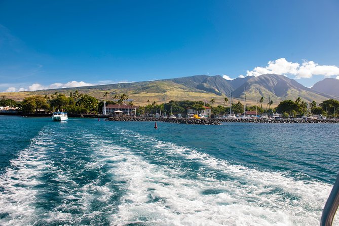 2-Hour Oahu Whale Watch from Ala Wai Harbor, Waikiki - Comfort and the BYOB rule that can save your budget
