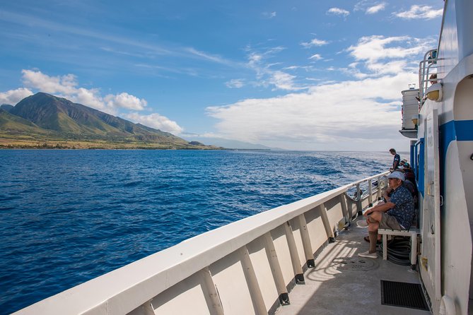 2-Hour Oahu Whale Watch from Ala Wai Harbor, Waikiki - Money, crowds, and the boat size you will actually feel
