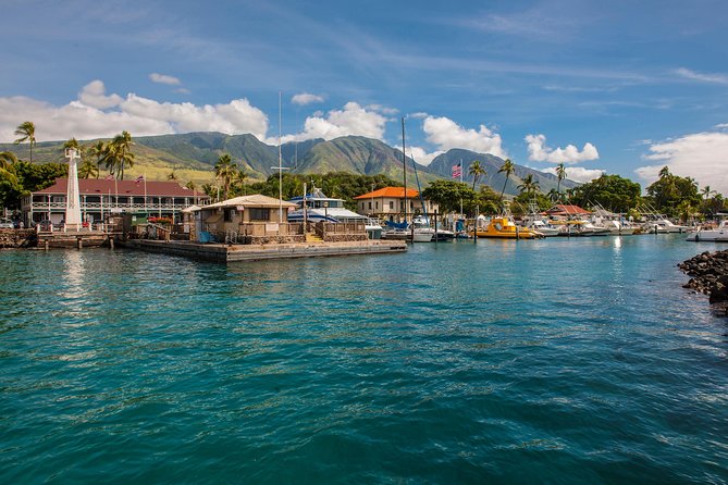 2-Hour Oahu Whale Watch from Ala Wai Harbor, Waikiki - Upper deck vs enclosed cabin: choose your comfort and your photos