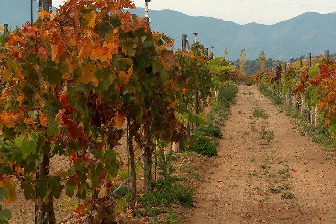 2 Hours Water to Wine Kayak Trip from Cottonwood - Why this Water to Wine combo works in Sedona