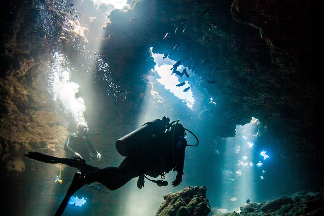 2 Tank Lanai Cathedral Scuba Dive Via Boat for Certified Divers - Key things that make this Lanai Cathedral trip worth your time