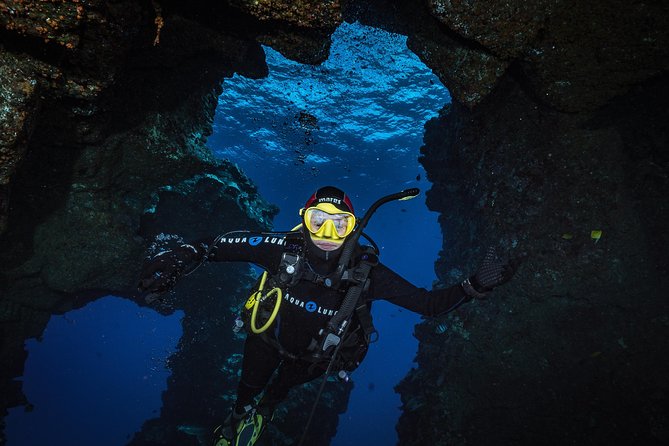 2 Tank Lanai Cathedral Scuba Dive Via Boat for Certified Divers - Why Lanai’s Cathedrals are special on a two-tank morning
