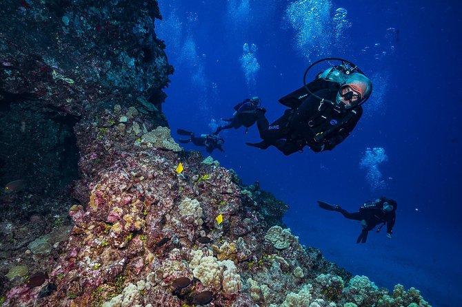 2 Tank Lanai Cathedral Scuba Dive Via Boat for Certified Divers - Guides and safety: small ratios, clear briefings, and real care