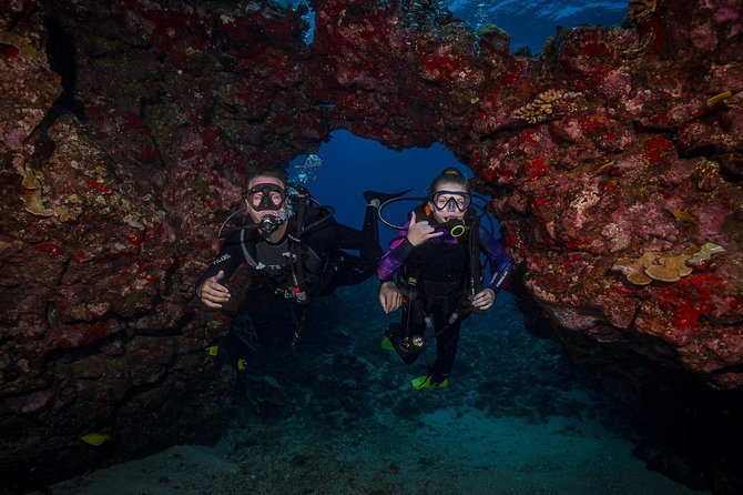 2 Tank Lanai Cathedral Scuba Dive Via Boat for Certified Divers - Price and what you actually get for $306.89