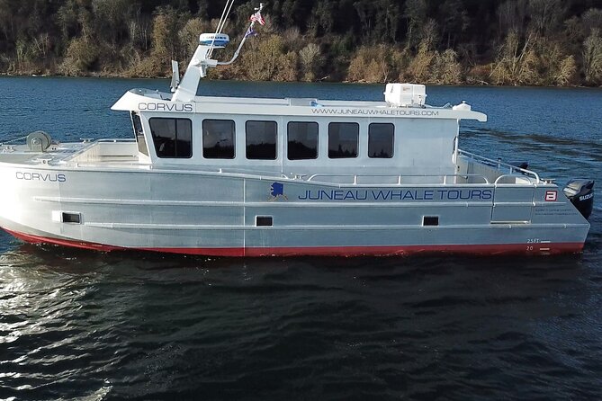 3.5 Hour Crowd-Skipping Whale Tour in Juneau, Alaska - The Small-Boat Magic: Why 20 People Matters in Juneau