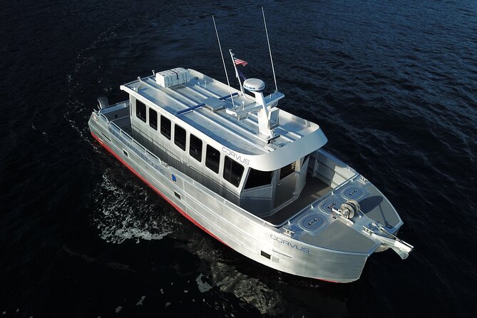 3.5 Hour Crowd-Skipping Whale Tour in Juneau, Alaska - Getting From the Goldbelt Tram to Auke Bay (Without Getting Lost)