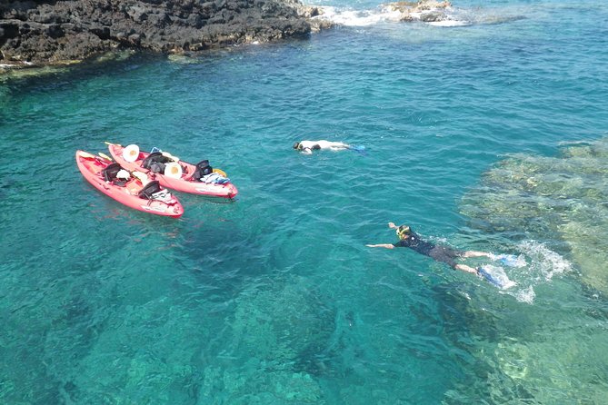 3.5 Hour Kailua-Kona Ocean Kayak and Snorkel Tour - Key points before you go