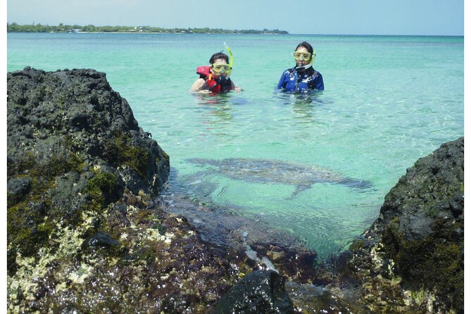 3.5 Hour Kailua-Kona Ocean Kayak and Snorkel Tour - Keauhou Bay at 7am: why mornings matter here