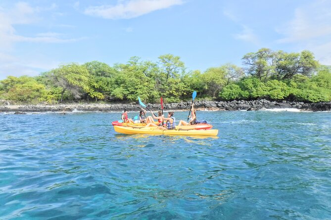 3.5 Hour Kailua-Kona Ocean Kayak and Snorkel Tour - Snorkeling breaks with coral, 50+ fish species, and real visibility
