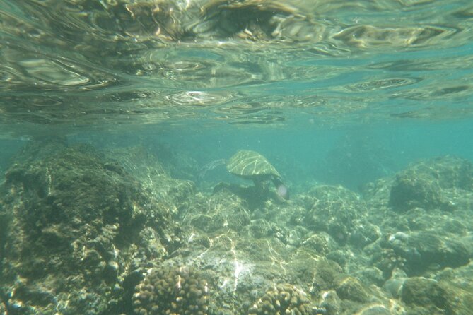 3.5 Hour Kailua-Kona Ocean Kayak and Snorkel Tour - Optional cliff jumping and shoreline surprises (with footwear tips)