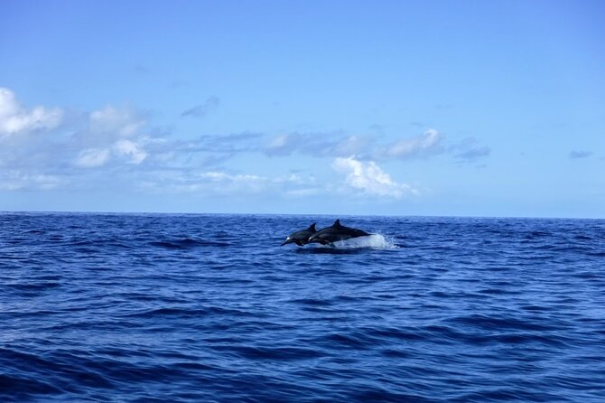 3.5 Hour Kailua-Kona Ocean Kayak and Snorkel Tour - How guides turn a good tour into a great one