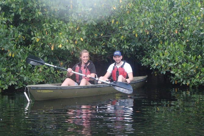 3 Hour Guided Mangrove Tunnel Kayak Eco Tour - The 3-hour flow: paddling lesson, open water, then the tunnel magic