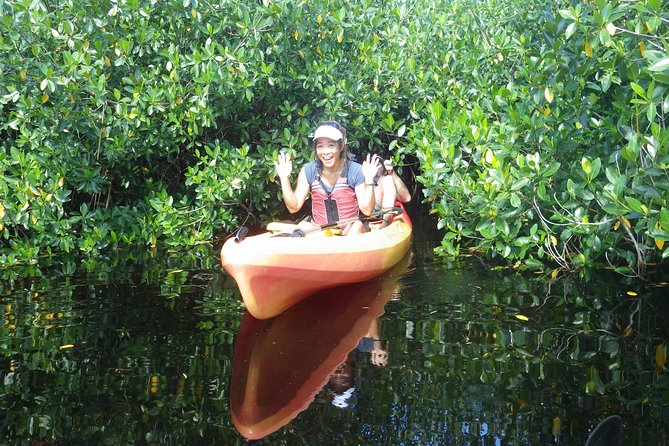 3 Hour Guided Mangrove Tunnel Kayak Eco Tour - Pace and effort: why beginners feel comfortable here