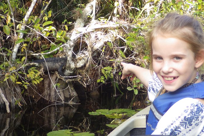 3 Hour Guided Mangrove Tunnel Kayak Eco Tour - Who this tour is best for, and who should think twice