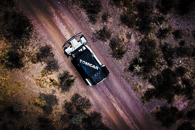 3 Hour Guided TomCar ATV Experience in Sonoran Desert - Desert lessons: what you’ll learn when you stop