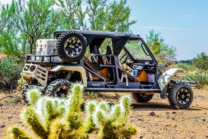 3 Hour Guided TomCar ATV Experience in Sonoran Desert - Expectation management: the ride is fun, and it can be demanding