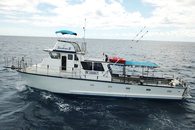 3-Hour Honolulu Bottom Fishing Adventure - Price and Value: Why This Trip Can Be a Good Deal for Under $90