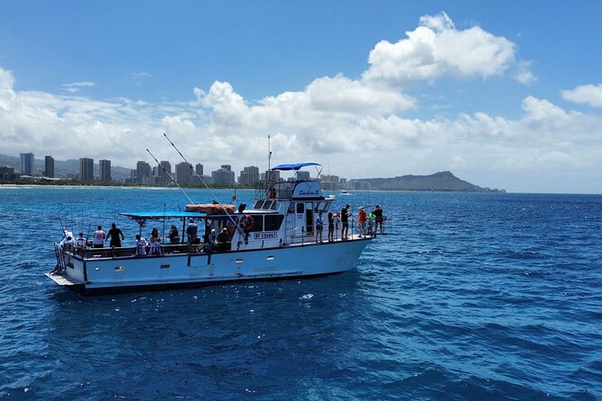3-Hour Honolulu Bottom Fishing Adventure - Views and Wildlife: The Part You Get Even If the Fish Are Modest