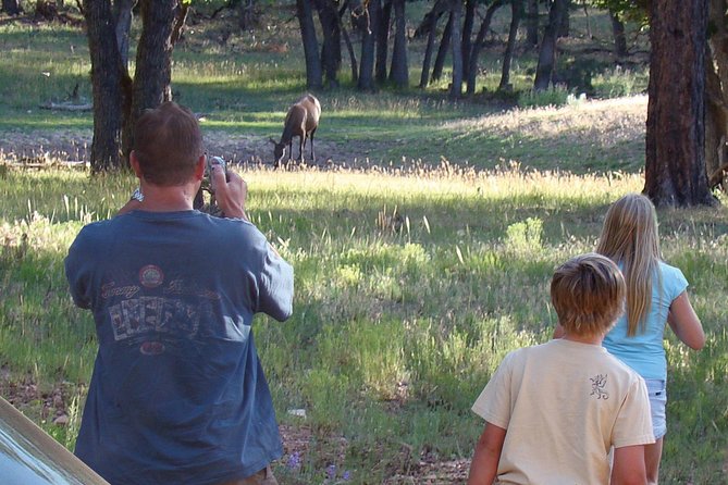 3 Hour Off-Road Sunset Safari to Grand Canyon with Entrance Gate Detour - Small Group Dynamics: Why Max 12 People Matters