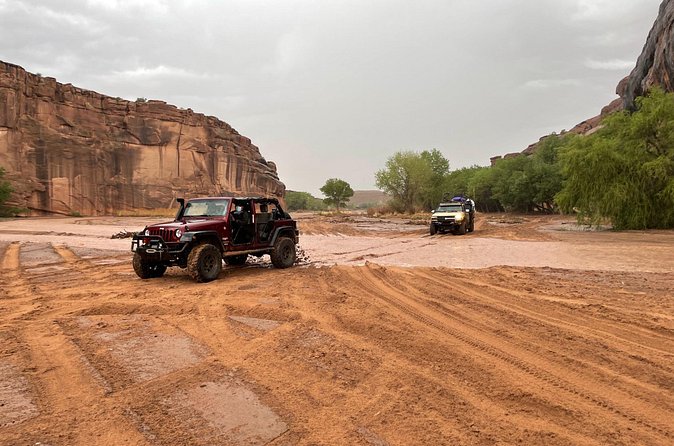 3-hour Private Tour - The 4x4 Advantage: More Ground, Better Photos, Less Guesswork