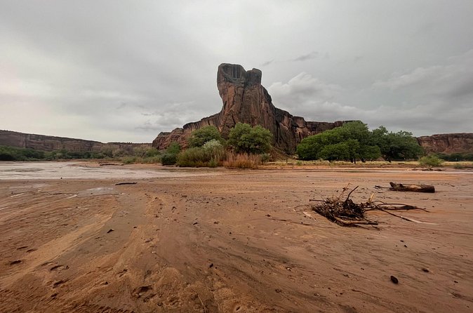 3-hour Private Tour - Stops for Artwork and Real Canyon Connections